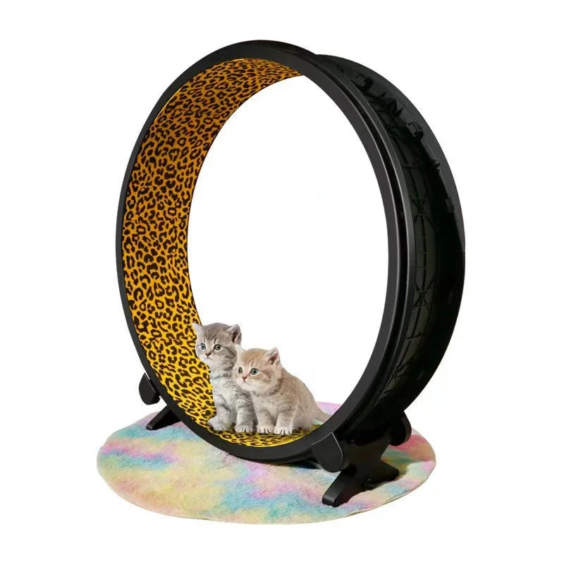 Silent Home Interactive Cat Exercise Wheel Plastic Pet Treadmill Toy for Feline Fitness
Silent Home Interactive Cat Exercise Wheel Plastic Pet Treadmill Toy for Feline Fitness