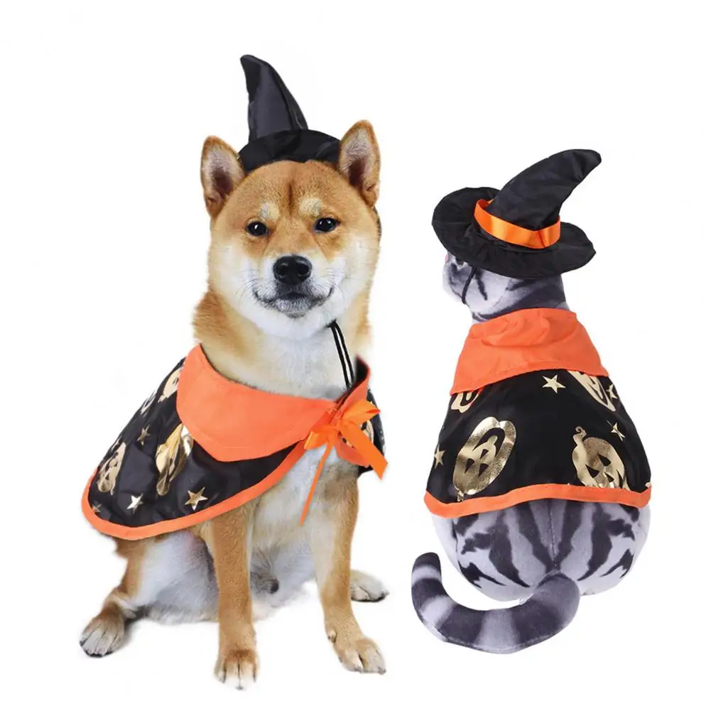 1 Set Pet Halloween Costume, Adjustable Rope Pet Outfit Cute Pumpkin Print Pet Apparel for Festive Party Wear
1 Set Pet Halloween Costume, Adjustable Rope Pet Outfit Cute Pumpkin Print Pet Apparel for Festive Party Wear
