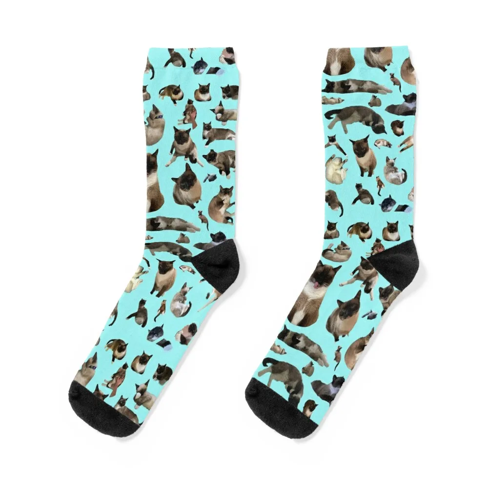 Mojito the Siamese Cat Many Pictures of the Great Moe! Socks compression gift floor Christmas Men Socks Women's
Mojito the Siamese Cat Many Pictures of the Great Moe! Socks compression gift floor Christmas Men Socks Women's