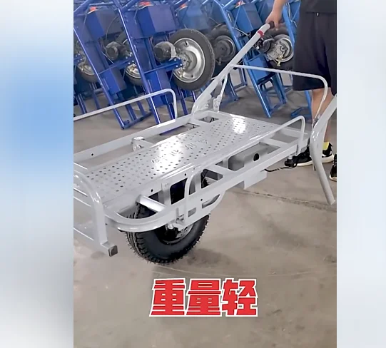 Agricultural electric unicycle hand push chicken bus lithium battery climbing hill small orchard transportation single wheel
Agricultural electric unicycle hand push chicken bus lithium battery climbing hill small orchard transportation single wheel