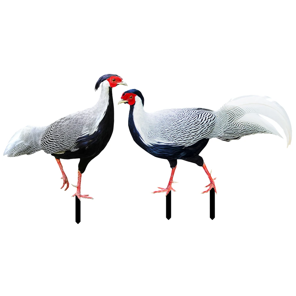 2pcs Acrylic Garden Decoration Pheasant Stake Ornaments for Yard Courtyard Farmhouse Style Chicken Insert Lawn Stakes Yards
2pcs Acrylic Garden Decoration Pheasant Stake Ornaments for Yard Courtyard Farmhouse Style Chicken Insert Lawn Stakes Yards