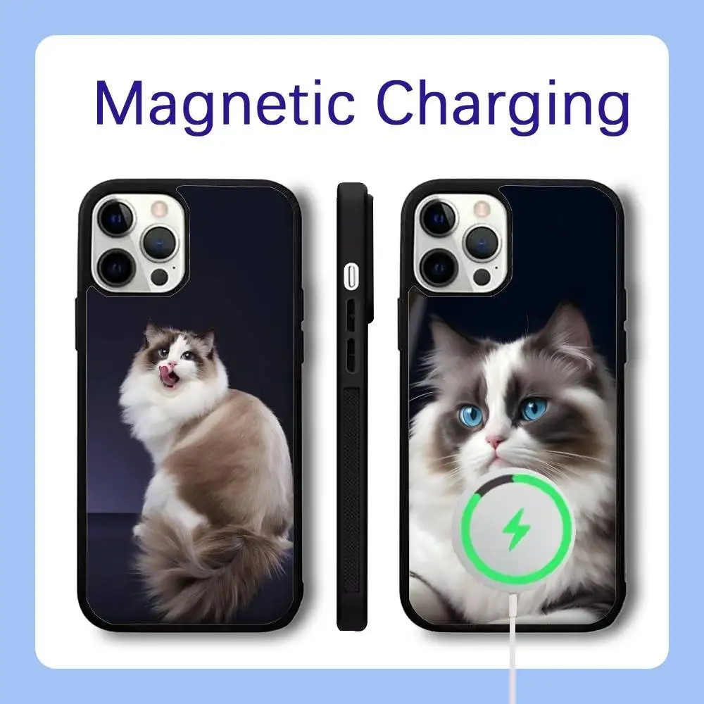 Ragdoll Kitten Cat Phone Case For iPhone 16,15,14,13,12,11,Pro,Max,Plus,Mini,SE Magsafe Magnetic Wireless Charging
Ragdoll Kitten Cat Phone Case For iPhone 16,15,14,13,12,11,Pro,Max,Plus,Mini,SE Magsafe Magnetic Wireless Charging