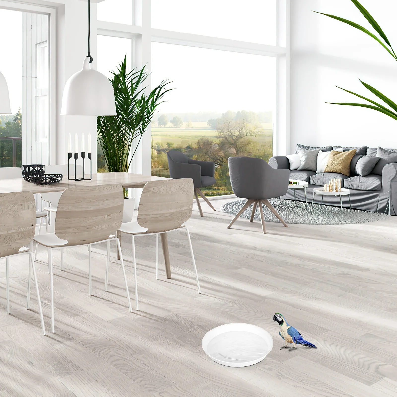 2pcs Replacement Bird Bath Bowls Round Birdbath Water Containers Hummingbird Feeder Bowls Plastic Bird Feeders Inserts Outdoor
2pcs Replacement Bird Bath Bowls Round Birdbath Water Containers Hummingbird Feeder Bowls Plastic Bird Feeders Inserts Outdoor