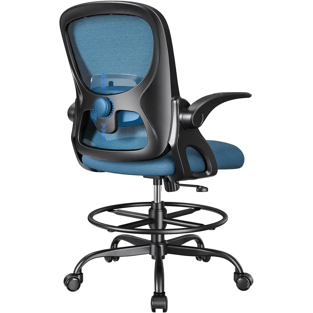 Ergonomic High-Back Office Chair with Adjustable Armrests, Lumbar Support, and Mesh Seat for Home and Standing Desks (Black & Bl
Ergonomic High-Back Office Chair with Adjustable Armrests, Lumbar Support, and Mesh Seat for Home and Standing Desks (Black & Bl