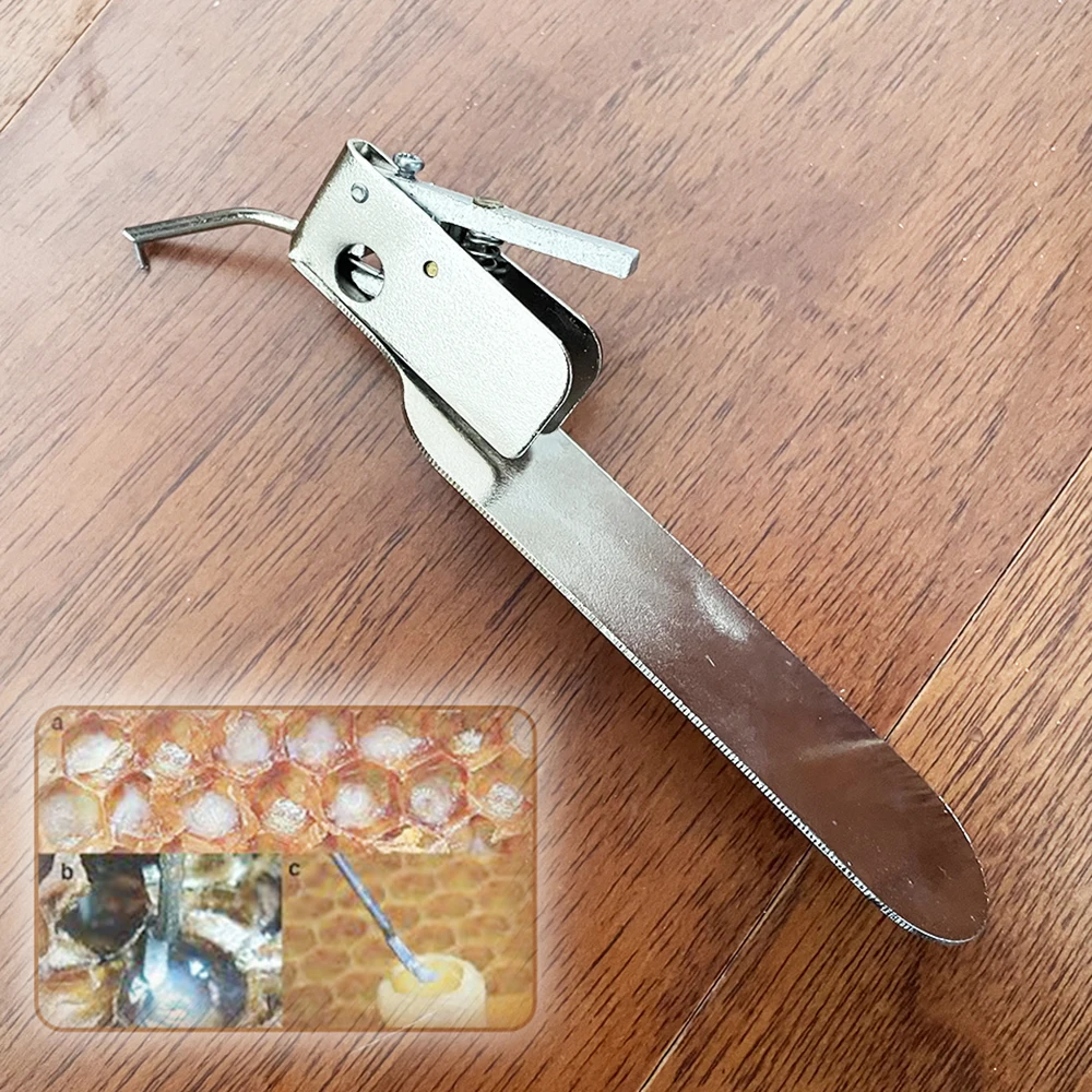 1PCS Stainless Steel Grafting Tool Apiary Spring Loaded Thumb Controlled Transferring Needle Master Queen Rearing Beekeeping
1PCS Stainless Steel Grafting Tool Apiary Spring Loaded Thumb Controlled Transferring Needle Master Queen Rearing Beekeeping