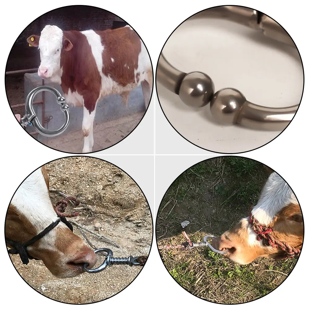 Stainless Steel Cattle Nose Pliers Durable Livestock Nose Ring for Farm Animal Bull Pulling Tool Cows ry Supply Cattle
Stainless Steel Cattle Nose Pliers Durable Livestock Nose Ring for Farm Animal Bull Pulling Tool Cows ry Supply Cattle