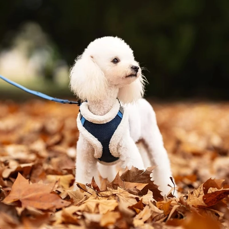 Pet outdoor denim vest wiring harness adjustment buckle luxury custom wire popular set
Pet outdoor denim vest wiring harness adjustment buckle luxury custom wire popular set