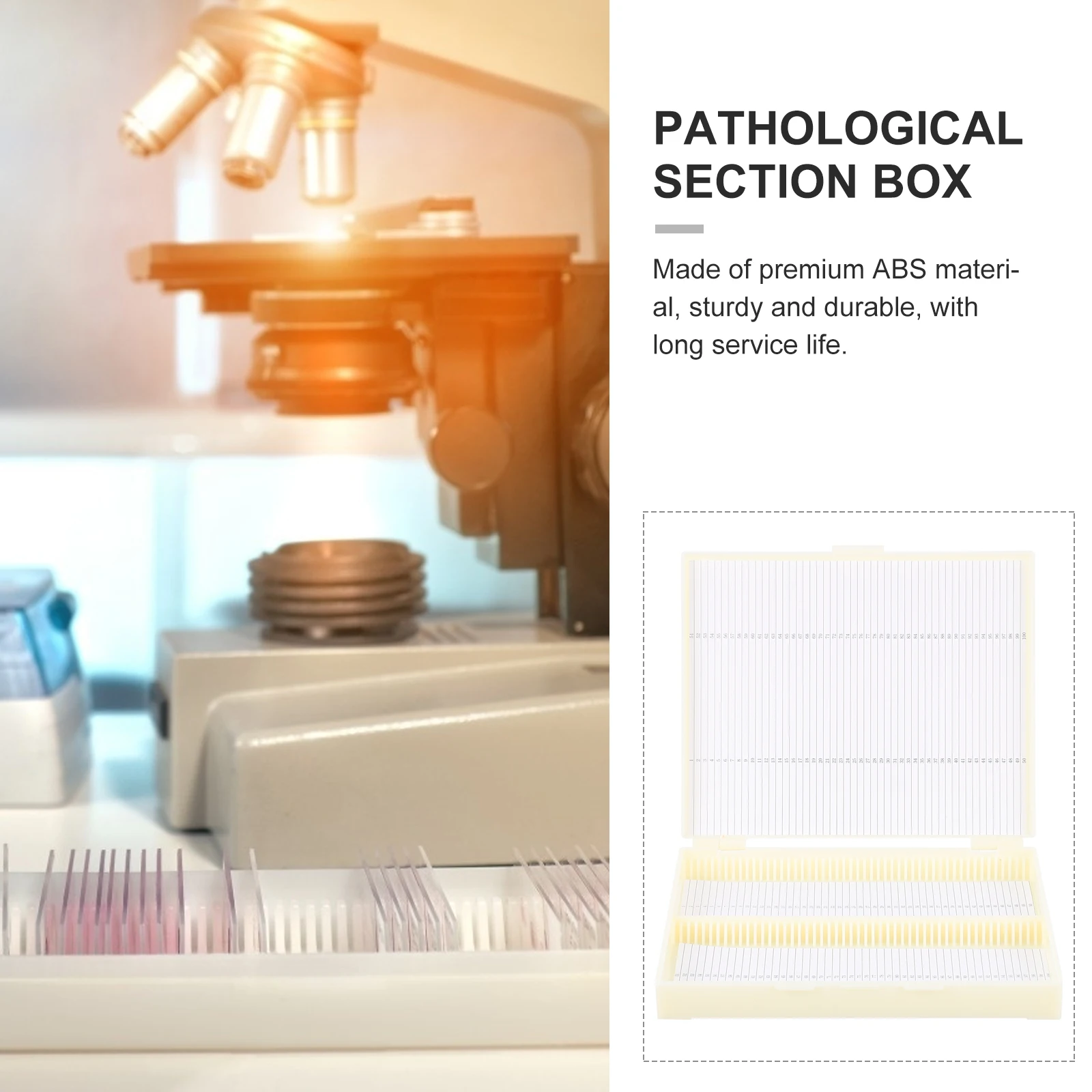 2Pcs Microscope Slide Holder with Shallow Slots Long Service Life for Organized Storage Microscope Storage Containers
2Pcs Microscope Slide Holder with Shallow Slots Long Service Life for Organized Storage Microscope Storage Containers