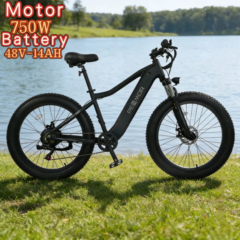 Электрический велосипед для бездорожья 48В 14Ач, 26-дюймовые шины 4.0, внедорожный электровелосипед с высокоскоростным механическим тормозом и мотором 750 Вт
Электрический велосипед для бездорожья 48В 14Ач, 26-дюймовые шины 4.0, внедорожный электровелосипед с высокоскоростным механическим тормозом и мотором 750 Вт