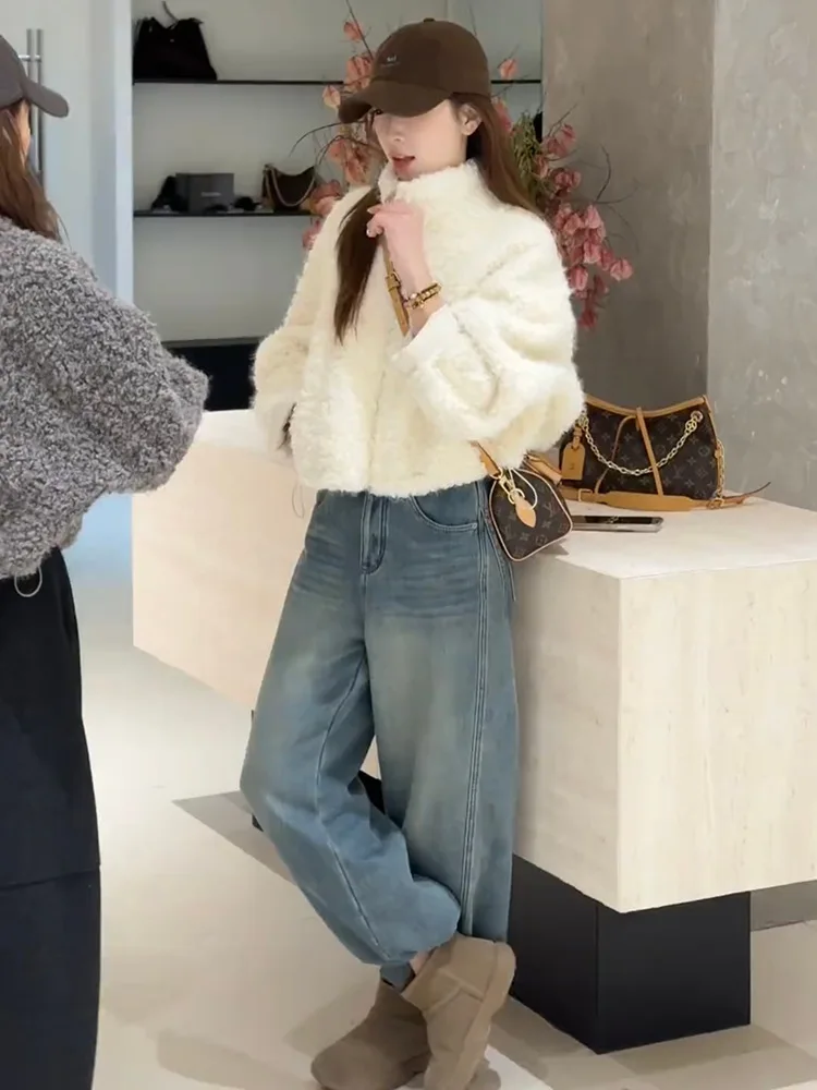 Korean Jacket Stand Collar Cropped Jacket Faux Shearling Warm Jacket Thick Plush Short Coat Womens Petite Small Warm Lined
Korean Jacket Stand Collar Cropped Jacket Faux Shearling Warm Jacket Thick Plush Short Coat Womens Petite Small Warm Lined
