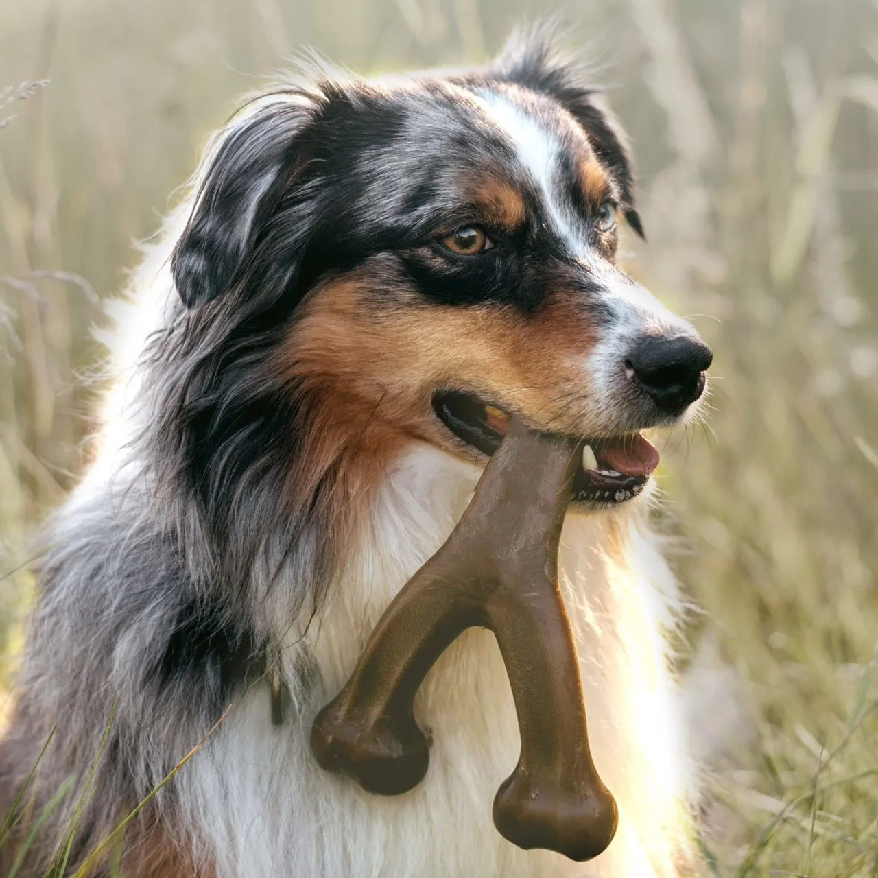 Pet Dog Gnaw Grinding Stick Durable Puppy Gnaw Toy Suitable for Intense Chewing Teeth Grinding Cleaning Dogs Products Supplies
Pet Dog Gnaw Grinding Stick Durable Puppy Gnaw Toy Suitable for Intense Chewing Teeth Grinding Cleaning Dogs Products Supplies