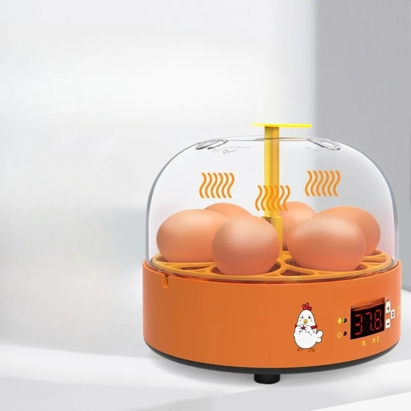 Incubator Small Household Children's Mini Egg Incubator Automatic Intelligent Incubator Rutin Chicken
Incubator Small Household Children's Mini Egg Incubator Automatic Intelligent Incubator Rutin Chicken