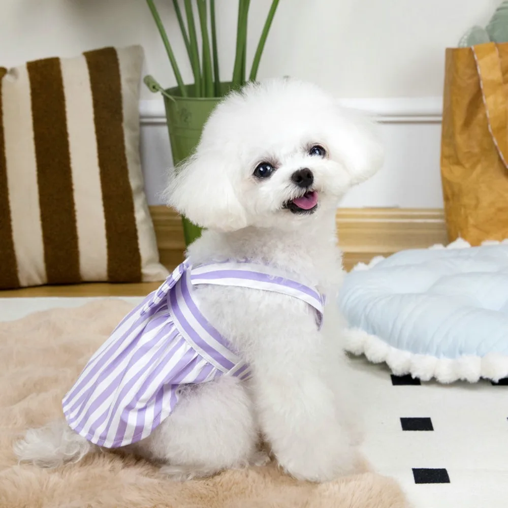 Chihuahua Lovely Dog Summer Dress Breathable Strips Puppy Skirt Skin-friendly Pet Dress For Small Medium Dogs
Chihuahua Lovely Dog Summer Dress Breathable Strips Puppy Skirt Skin-friendly Pet Dress For Small Medium Dogs