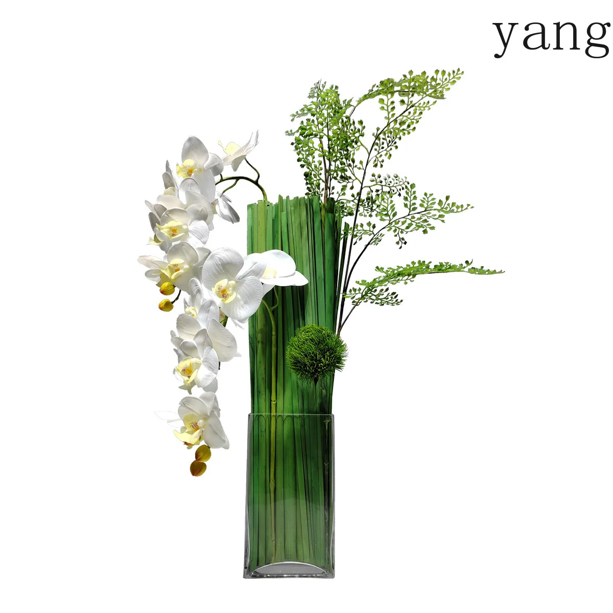 cx Phalaenopsis simulated flower ornament living room dining table coffee table desktop green plant decoration
cx Phalaenopsis simulated flower ornament living room dining table coffee table desktop green plant decoration