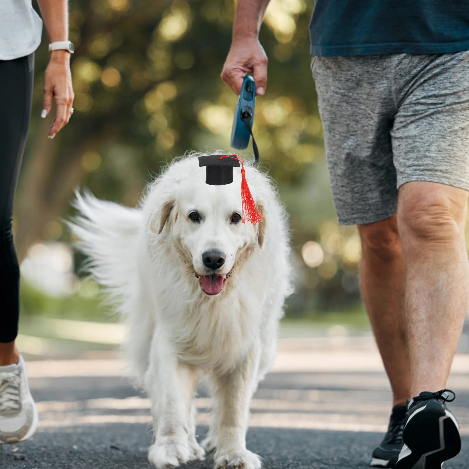 Выпускная кепка для маленьких домашних животных из мягкого фетра, легкая моющаяся защитная конструкция для хомяка, морской свинки, шиншиллы, реквизит для фотосессии, вечеринки
Выпускная кепка для маленьких домашних животных из мягкого фетра, легкая моющаяся защитная конструкция для хомяка, морской свинки, шиншиллы, реквизит для фотосессии, вечеринки