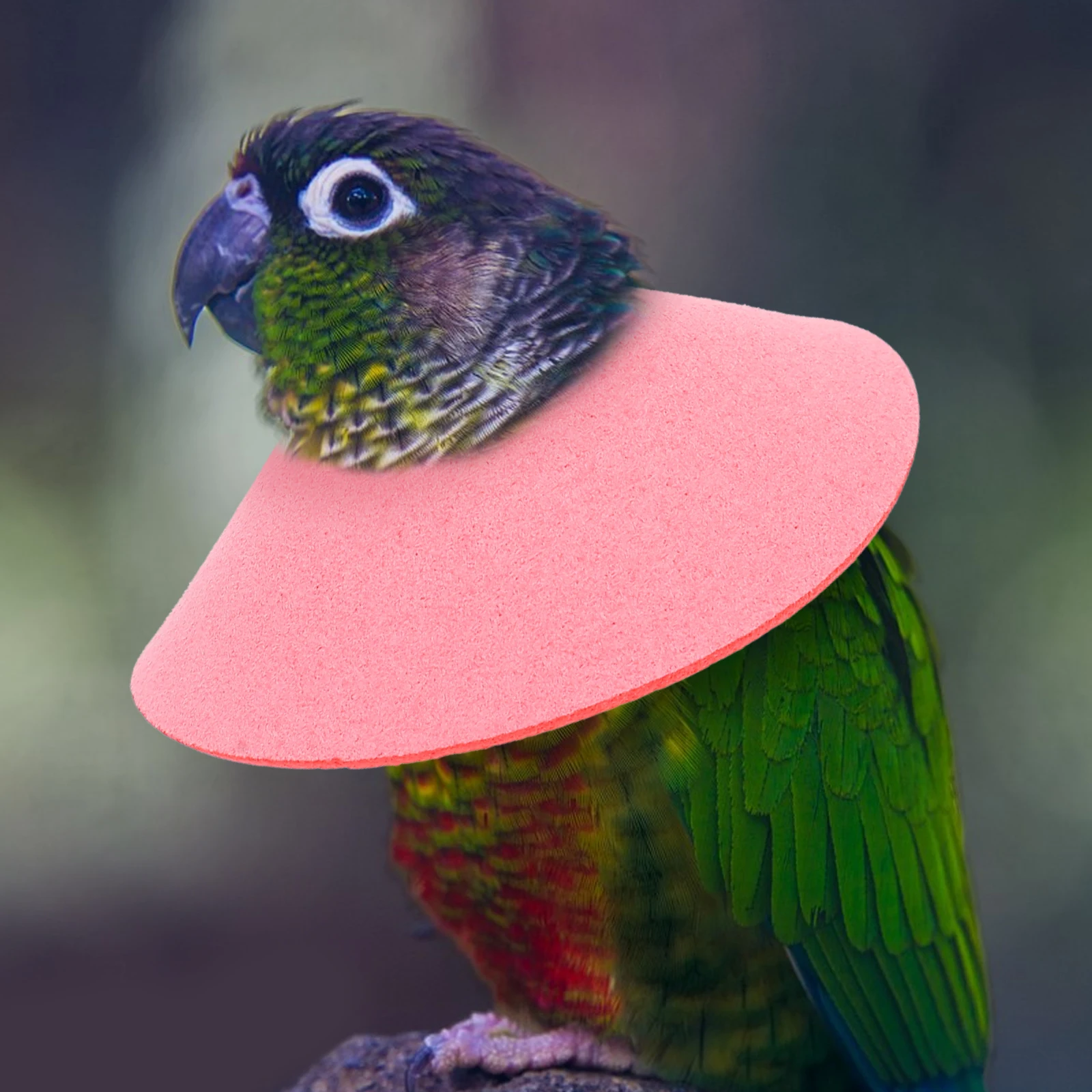 Parrot Anti-Biting Neck Protector Gentle Skin-Friendly Wound Healing Accessory Comfortable Durable Polyester Cotton Material
Parrot Anti-Biting Neck Protector Gentle Skin-Friendly Wound Healing Accessory Comfortable Durable Polyester Cotton Material