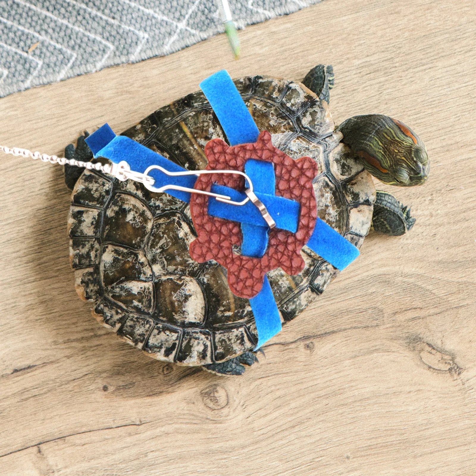 Turtle Leash Adorable Attractive Design Pet Safety Training Leash Portable Easy Carry Store Enjoyable Walking Experience
Turtle Leash Adorable Attractive Design Pet Safety Training Leash Portable Easy Carry Store Enjoyable Walking Experience