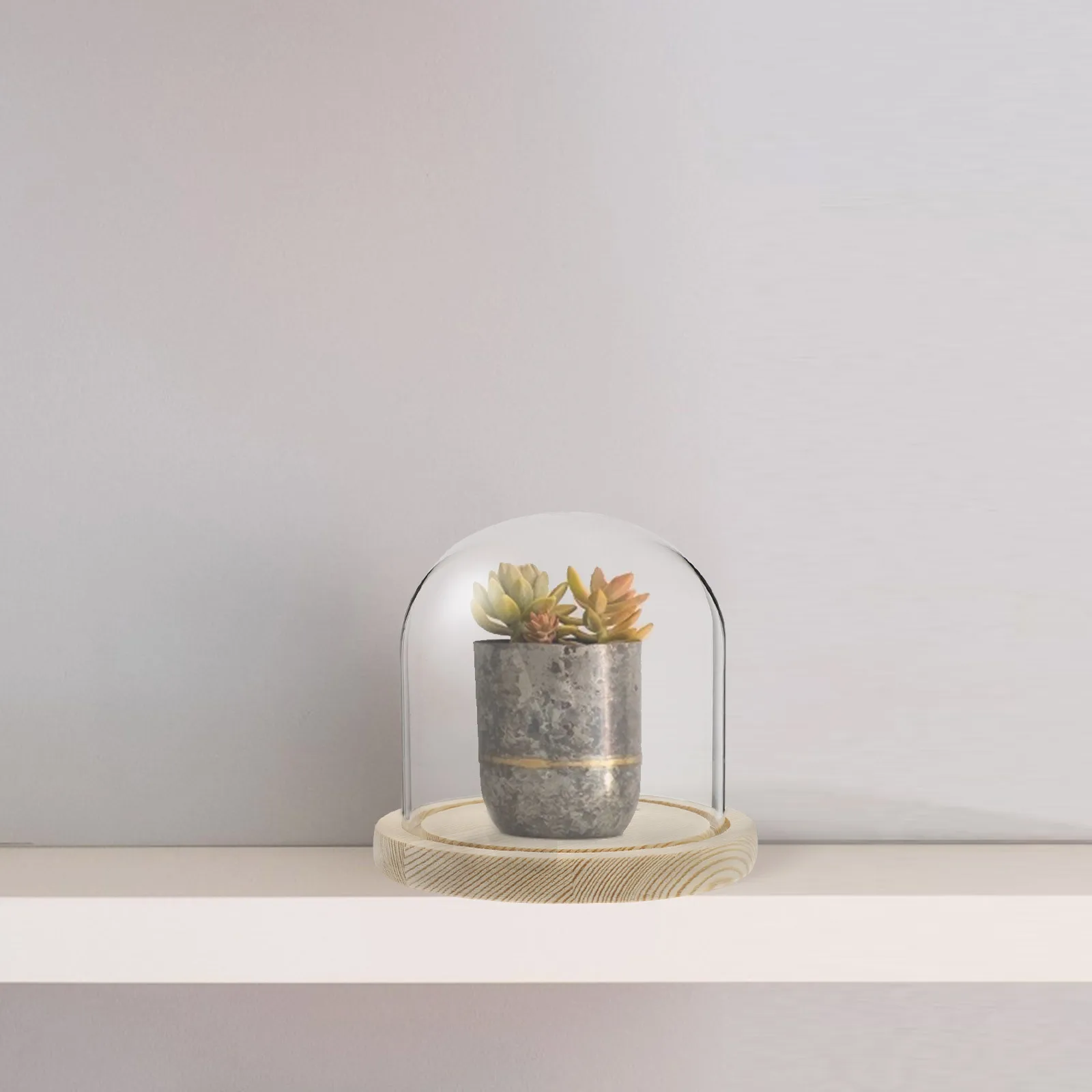 1Set Creative Glass Display Cover for Immortal Flowers with Wood Base Clear Dome for Tabletop Shelf Decor Micro Landscape
1Set Creative Glass Display Cover for Immortal Flowers with Wood Base Clear Dome for Tabletop Shelf Decor Micro Landscape