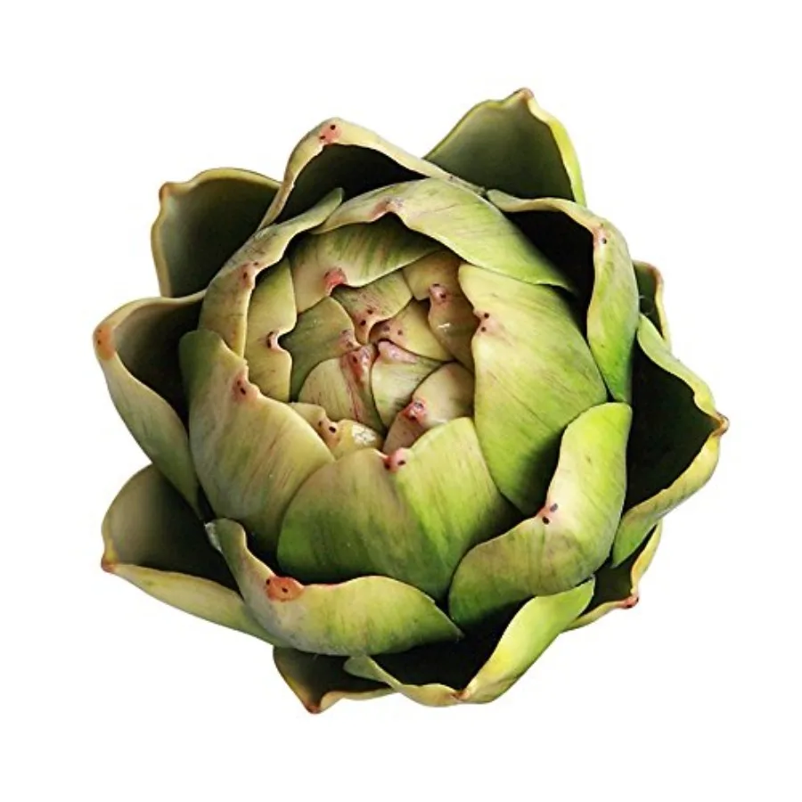 Artificial Artichoke Vegetables Wedding Party Home Decor Set of 6 Large, Green
Artificial Artichoke Vegetables Wedding Party Home Decor Set of 6 Large, Green