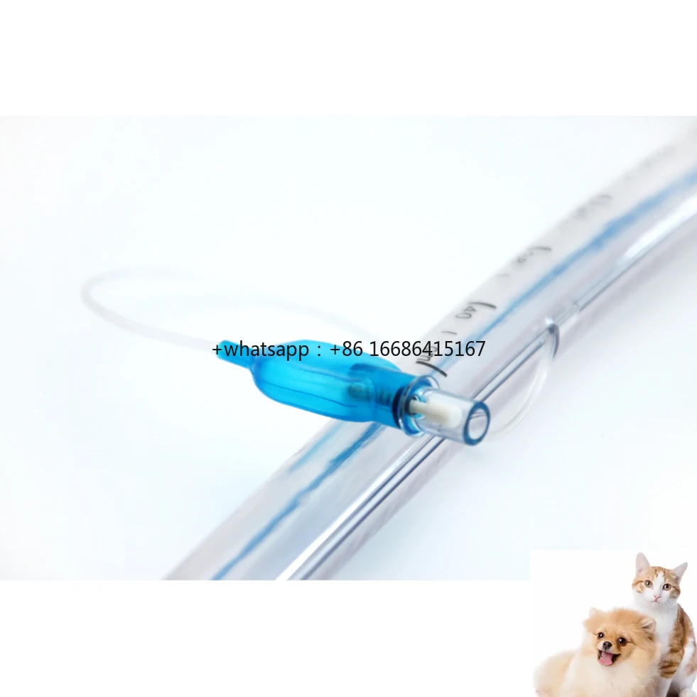 Tube For Veterinary Vet Pet Dog Animal DEHP FREE Medical PVC 2.5-9.5MM Endotracheal Intubation Tracheal
Tube For Veterinary Vet Pet Dog Animal DEHP FREE Medical PVC 2.5-9.5MM Endotracheal Intubation Tracheal