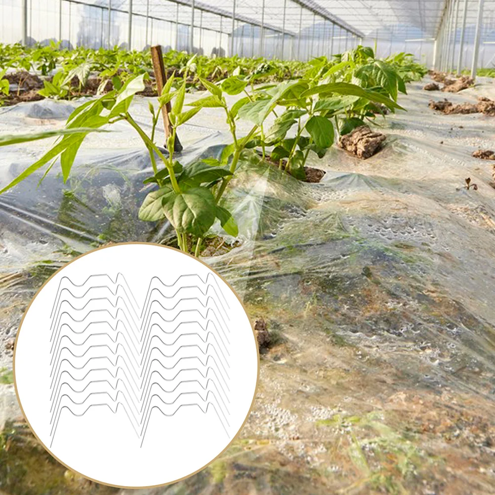 100pcs W Clamps Glass Pane Reinforcement Stainless Steel Greenhouse Repair Greenhouse Glass Pane W Clip Kit Garden Accessories
100pcs W Clamps Glass Pane Reinforcement Stainless Steel Greenhouse Repair Greenhouse Glass Pane W Clip Kit Garden Accessories