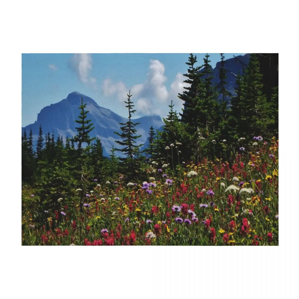 Mountain Wildflowers Throw Blanket Decoratives Retros Polar Thin Blankets
Mountain Wildflowers Throw Blanket Decoratives Retros Polar Thin Blankets