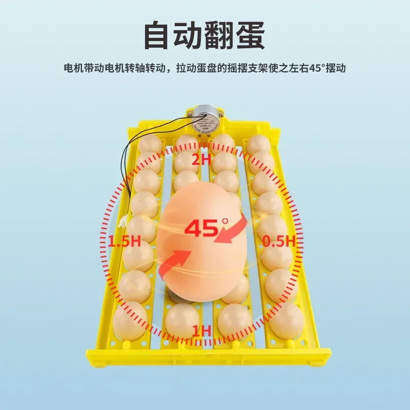 NEW 32 Egg Trays, Automatic Flipping Incubator, Household Small Egg Trays, Chicken, Duck, Bird Egg Trays, Incubator Accessories
NEW 32 Egg Trays, Automatic Flipping Incubator, Household Small Egg Trays, Chicken, Duck, Bird Egg Trays, Incubator Accessories