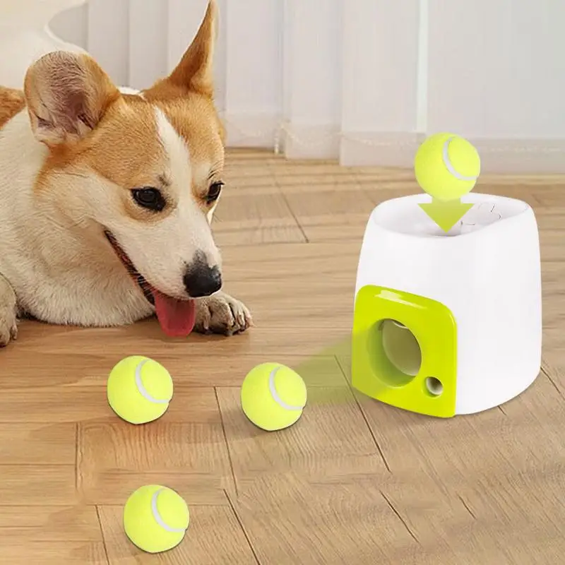 Automatic Ball Launch For Dogs Dog Automatic Ball Launch Interactive Toys Training Reward Machine For Jump Roll Fun Activity
Automatic Ball Launch For Dogs Dog Automatic Ball Launch Interactive Toys Training Reward Machine For Jump Roll Fun Activity