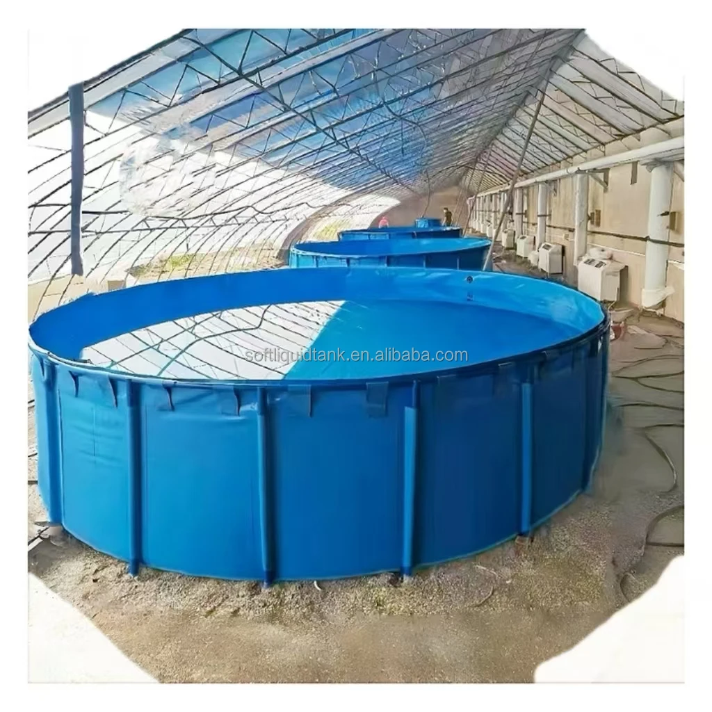 2025 Hot Selling RAS Fish Farming Tank Flexible PVC Tarpaulin Fish Tank Aquaculture Fish Pond For Sale
2025 Hot Selling RAS Fish Farming Tank Flexible PVC Tarpaulin Fish Tank Aquaculture Fish Pond For Sale