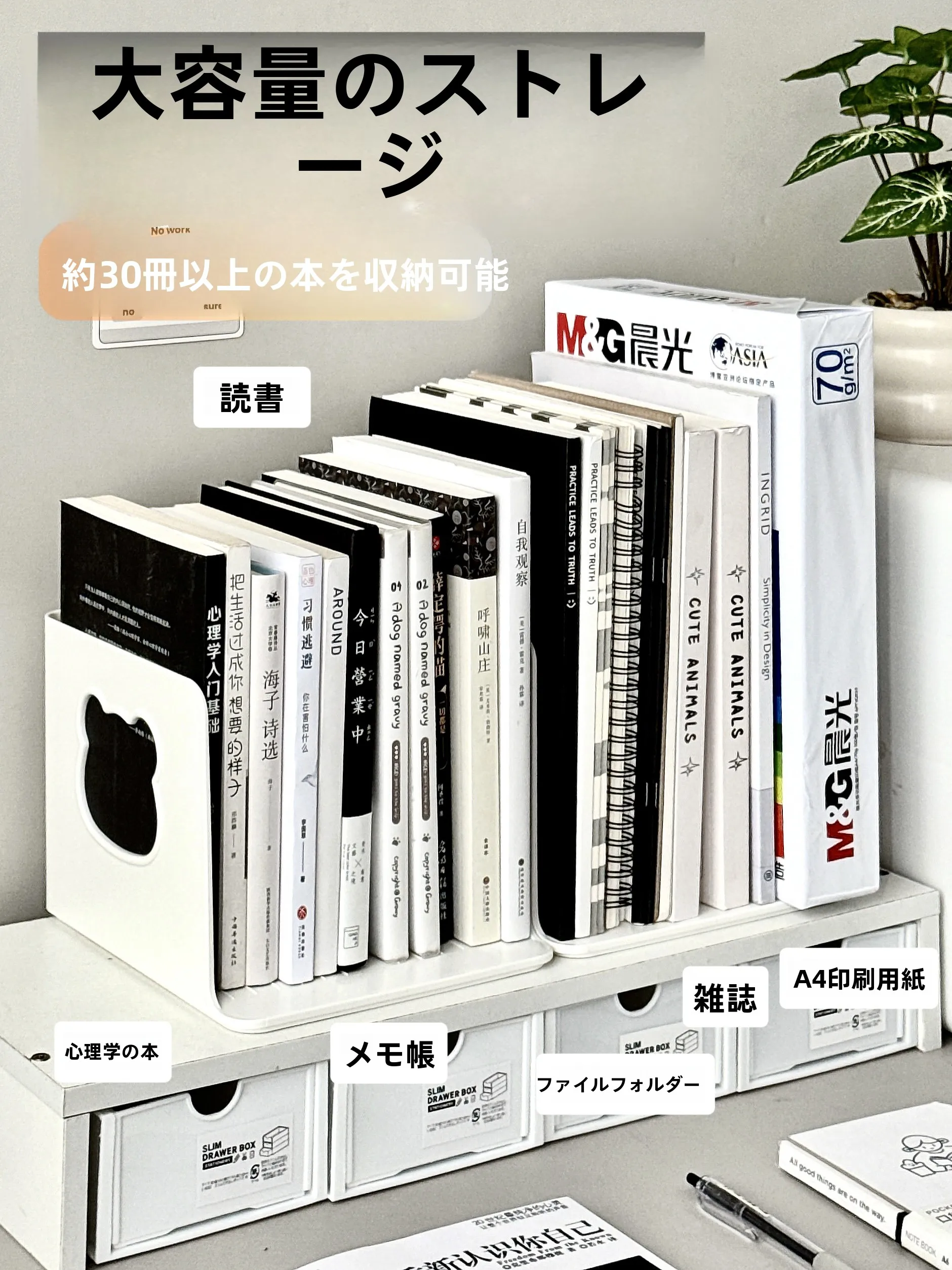 Настольный органайзер для книг и документов большой вместимости, подставка для книг для студентов, простой скандинавский стиль
Настольный органайзер для книг и документов большой вместимости, подставка для книг для студентов, простой скандинавский стиль