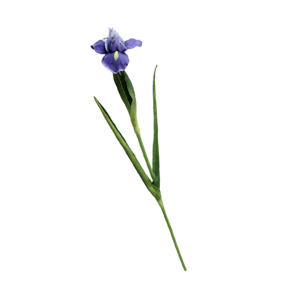 1pc Artificial Iris Wedding Decoration Simulation Wedding Decor Faux Flower Simulation Flower Home Office Decorations
1pc Artificial Iris Wedding Decoration Simulation Wedding Decor Faux Flower Simulation Flower Home Office Decorations