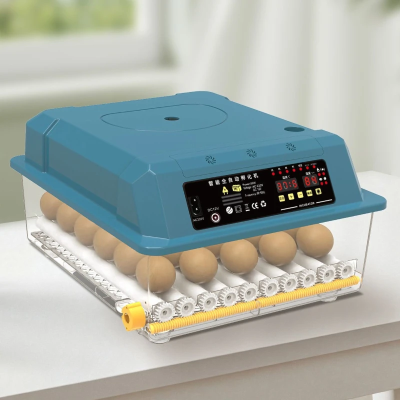 Инкубатор для яиц Smart: автоматический, с функцией просмотра яиц, регулировкой температуры, для домашнего использования, машина для выведения птенцов
Инкубатор для яиц Smart: автоматический, с функцией просмотра яиц, регулировкой температуры, для домашнего использования, машина для выведения птенцов