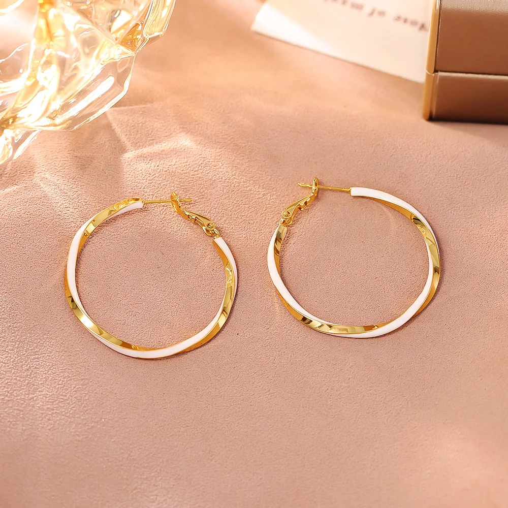 High-end cool style hoop earrings, niche design, fashionable, exquisite and personalized earrings, simple and versatile earrings
High-end cool style hoop earrings, niche design, fashionable, exquisite and personalized earrings, simple and versatile earrings