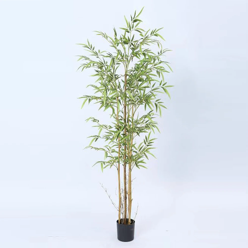 1.5M Taiwan Bamboo Branch Artificial Japanese Lucky Bamboo Tree Artificial Greening Plant
1.5M Taiwan Bamboo Branch Artificial Japanese Lucky Bamboo Tree Artificial Greening Plant