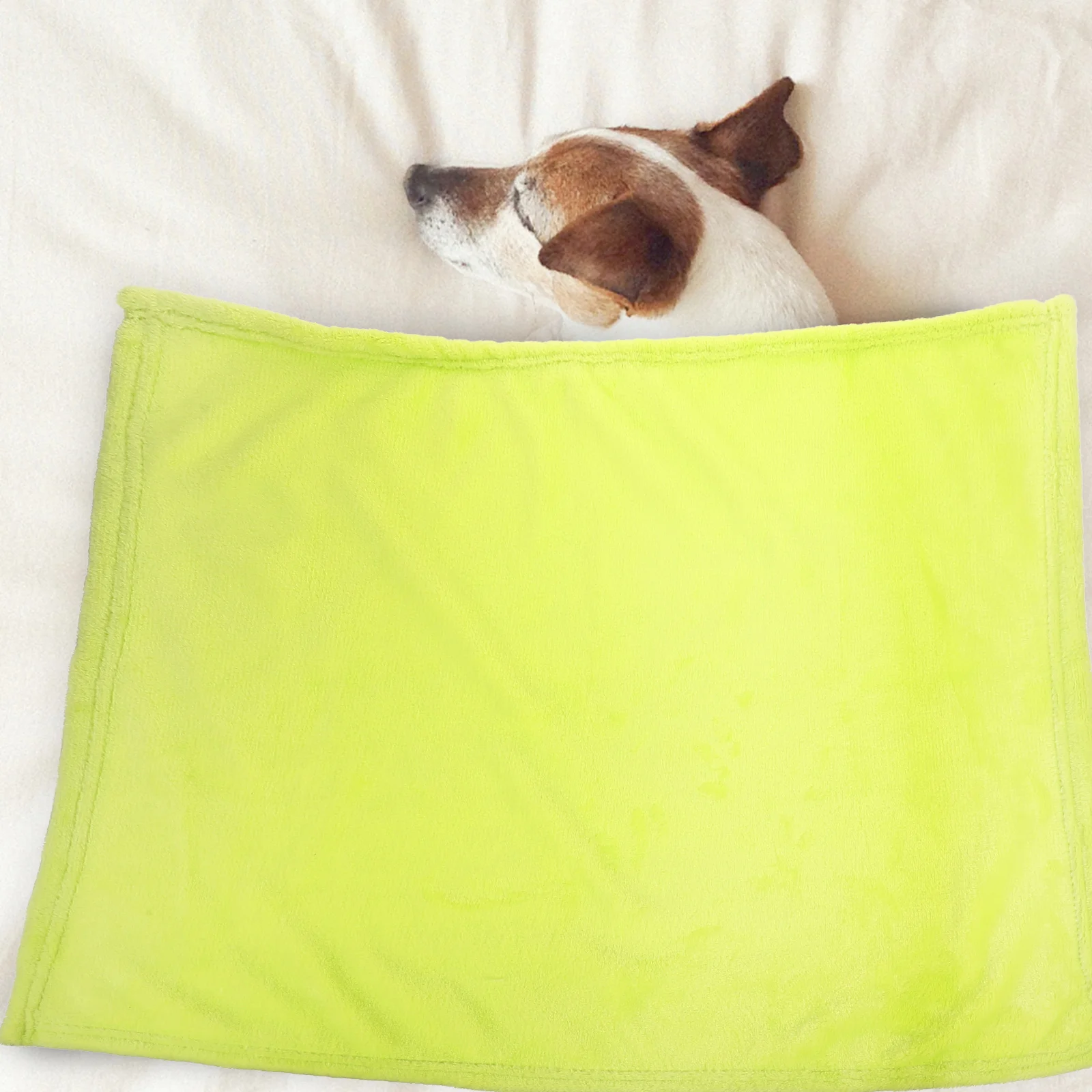 Flannel Pet Blanket Fleece Soft Extra Warm Lightweight White Bedding Couch Dog Blankets Solid Color
Flannel Pet Blanket Fleece Soft Extra Warm Lightweight White Bedding Couch Dog Blankets Solid Color