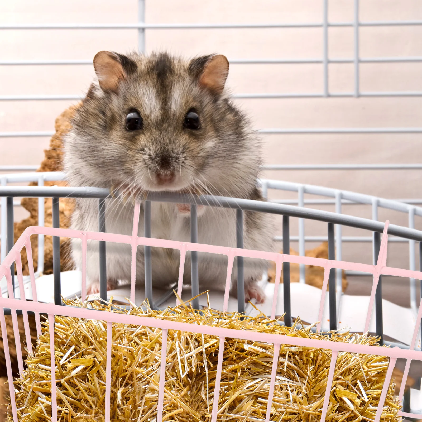Rabbit Hay Feeder Pink Cage Accessories Wear Resistant Easy Clean Smooth Surface Practical Design Convenient Add Hay Storage
Rabbit Hay Feeder Pink Cage Accessories Wear Resistant Easy Clean Smooth Surface Practical Design Convenient Add Hay Storage