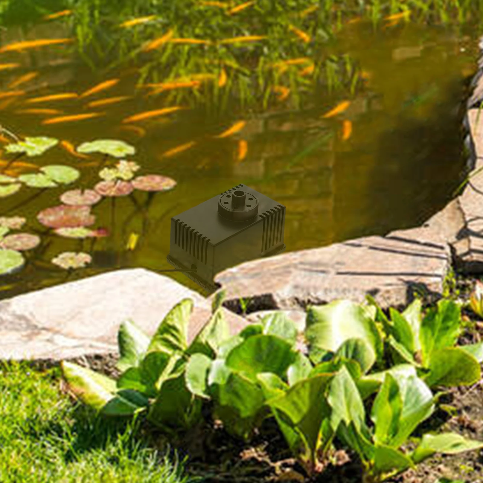 Fountain Powered Floating Bird Bath Garden Pond Fish Tank Fountain Outdoor Fountains Solar Pond Pump Garden Water Feature
Fountain Powered Floating Bird Bath Garden Pond Fish Tank Fountain Outdoor Fountains Solar Pond Pump Garden Water Feature