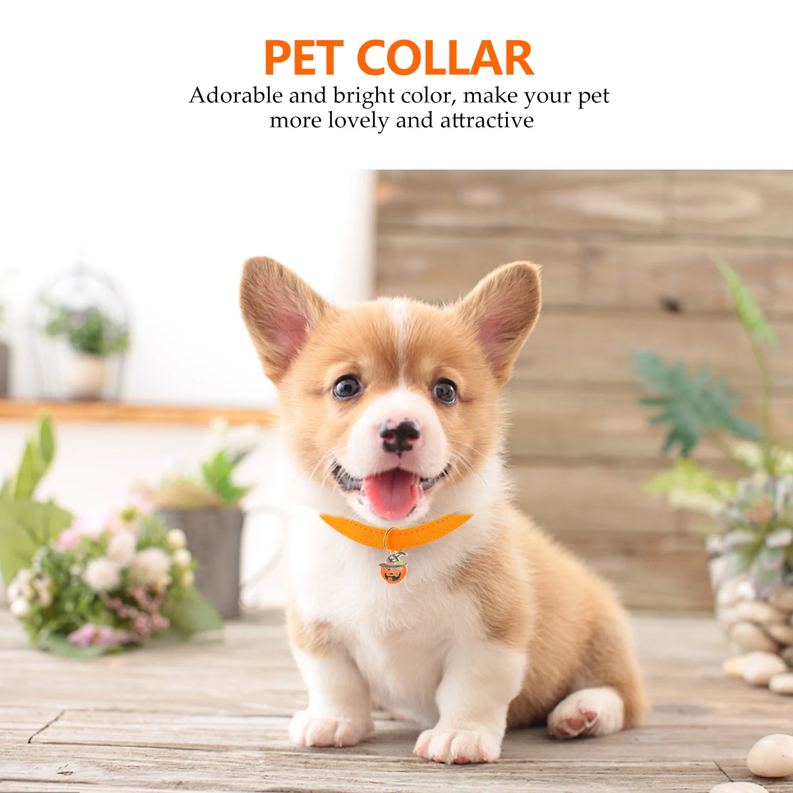 2Pcs Halloween Pumpkin Hat Pet Collar Adjustable Comfortable Cat Dog Necklace Party Supplies Collar Pet Neck Chain 
2Pcs Halloween Pumpkin Hat Pet Collar Adjustable Comfortable Cat Dog Necklace Party Supplies Collar Pet Neck Chain