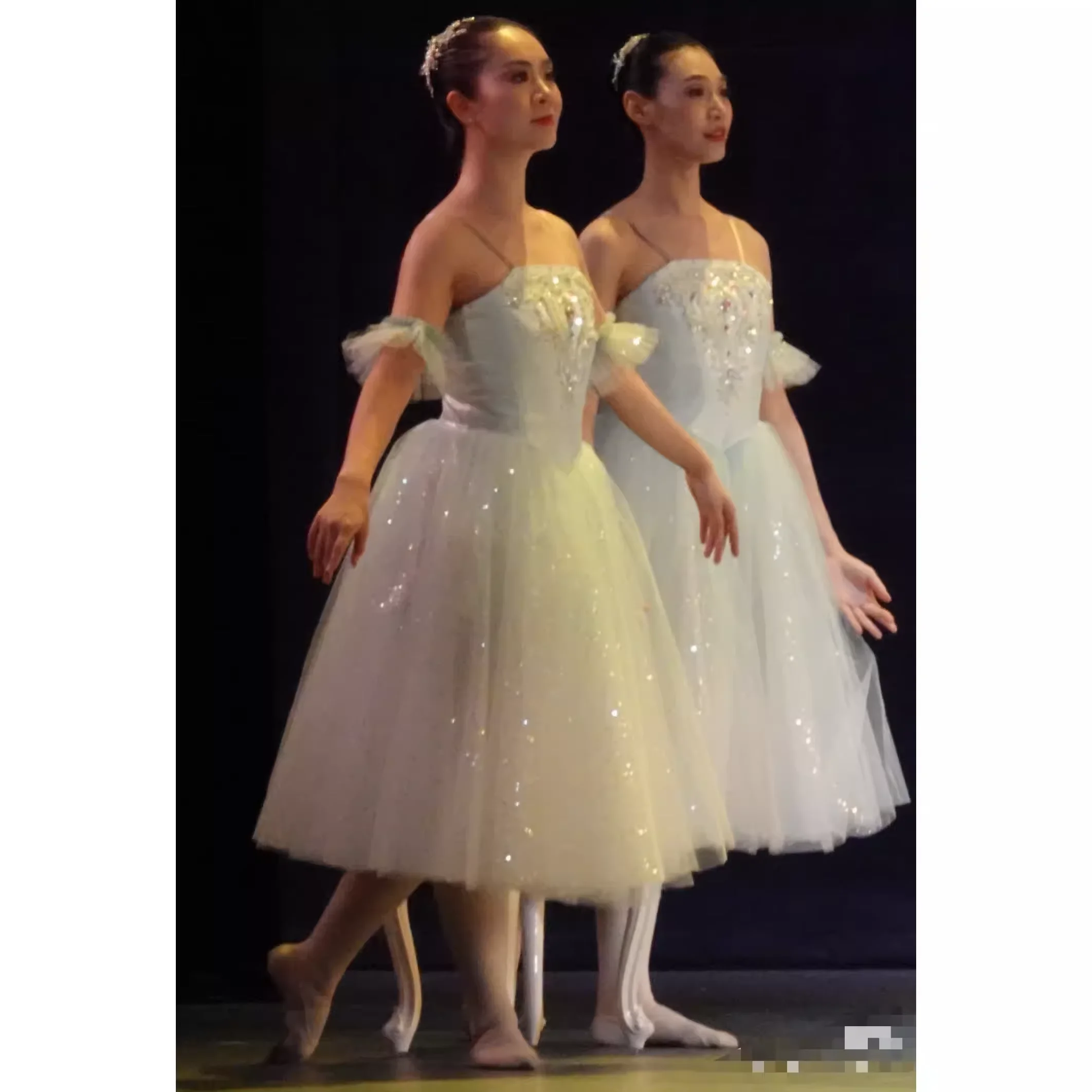 Ballet Tutu Skirt Women Dress Long Vestidos For Girls Performance Clothing Swan Belly Dance Skirts
Ballet Tutu Skirt Women Dress Long Vestidos For Girls Performance Clothing Swan Belly Dance Skirts