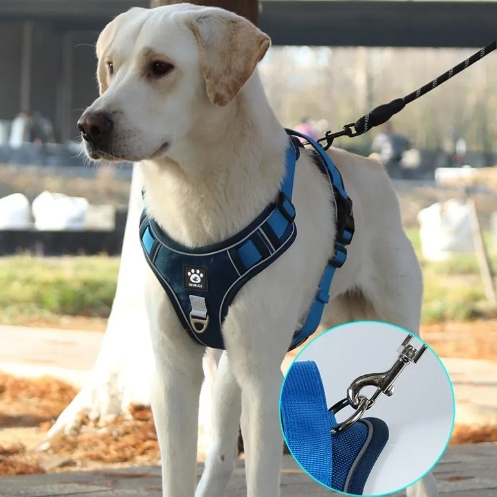 Durable Multi-Point Adjustment Anti-Pull Dog Harness Reflective Breathable Pet Vest Comfortable Dog Leash Outdoor Use
Durable Multi-Point Adjustment Anti-Pull Dog Harness Reflective Breathable Pet Vest Comfortable Dog Leash Outdoor Use
