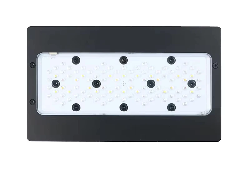 A8Pro Max/Blue 240 Вт CREE светодиоды Reef Coral Light WiFi APP Control Полный спектр соленой воды Морской аквариум Светодиодные фонари
A8Pro Max/Blue 240 Вт CREE светодиоды Reef Coral Light WiFi APP Control Полный спектр соленой воды Морской аквариум Светодиодные фонари