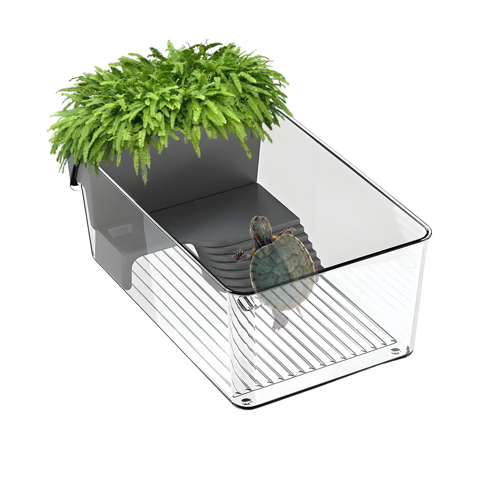 Регулируемый декоративный аквариум-террариум для черепах, комплект для содержания амфибий, мелких рептилий и рыб
Регулируемый декоративный аквариум-террариум для черепах, комплект для содержания амфибий, мелких рептилий и рыб