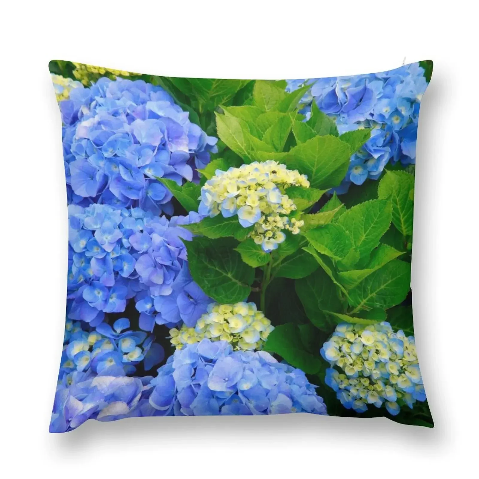 Hydrangeas Throw Pillow Luxury Cushion Cover autumn decoration Decorative Cushions pillow
Hydrangeas Throw Pillow Luxury Cushion Cover autumn decoration Decorative Cushions pillow