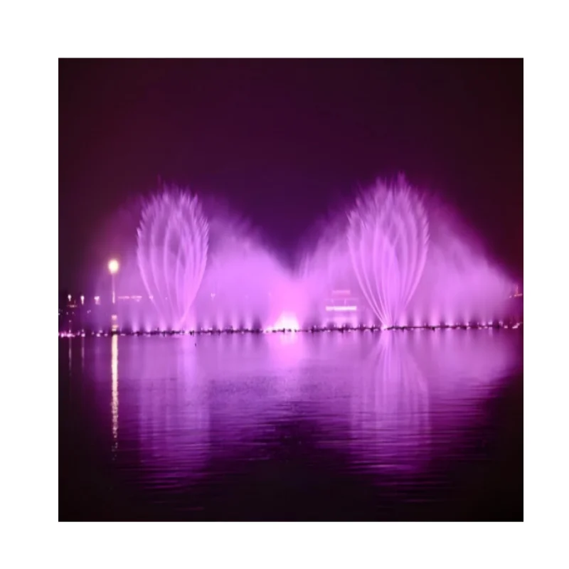 Customizable 2 D Dancing Fountain Single Jet Nozzle Led Fountain Light Waterfall Lake Floating Fountains for Large Pond
Customizable 2 D Dancing Fountain Single Jet Nozzle Led Fountain Light Waterfall Lake Floating Fountains for Large Pond