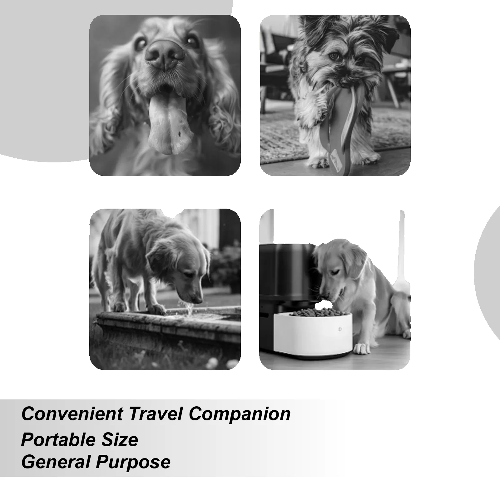 Бутылка для воды для собак, бутылка для воды с контейнером для еды, герметичный контейнер, мультяшная миска для кемпинга, автомобиля, пешего туризма, парка, домашние прогулки
Бутылка для воды для собак, бутылка для воды с контейнером для еды, герметичный контейнер, мультяшная миска для кемпинга, автомобиля, пешего туризма, парка, домашние прогулки