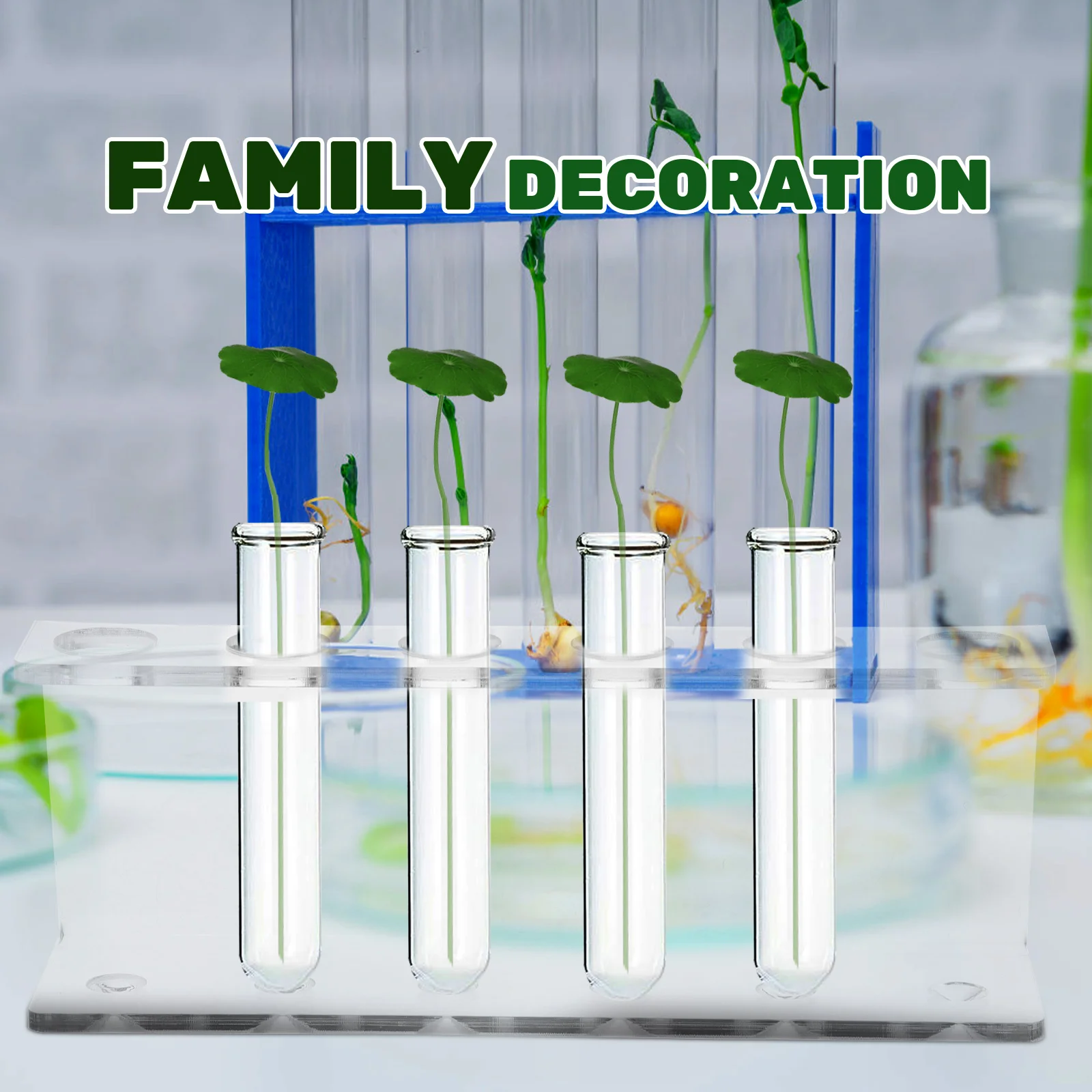 Hydroponic Test Tube Rack Acrylic Display Stand Desktop Lab Holder Transparent Storage Organizers For Home Decor
Hydroponic Test Tube Rack Acrylic Display Stand Desktop Lab Holder Transparent Storage Organizers For Home Decor