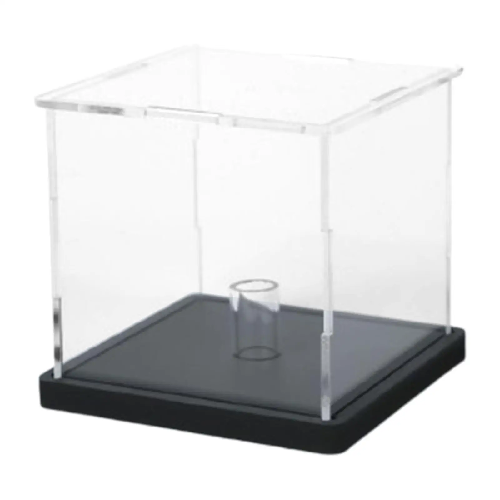 Golf Ball Display Case Clear Baseball Display Holder Sports Memorabilia Display Stand
Golf Ball Display Case Clear Baseball Display Holder Sports Memorabilia Display Stand