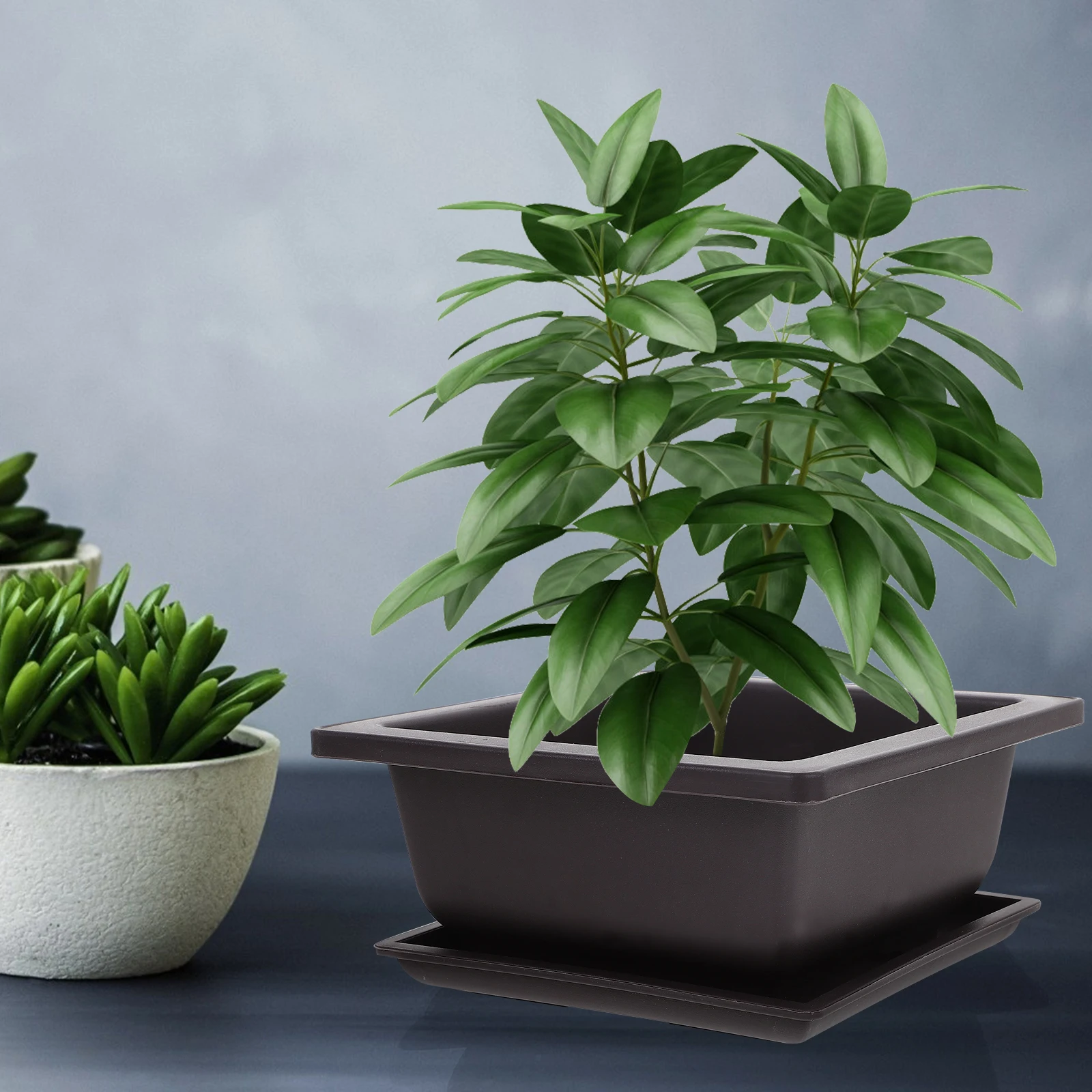 2Sets Plastic Plant Pot and Saucer Succulent Planter Container for Home Office Balcony Garden Flowerpot Decor Plant Pot 
2Sets Plastic Plant Pot and Saucer Succulent Planter Container for Home Office Balcony Garden Flowerpot Decor Plant Pot