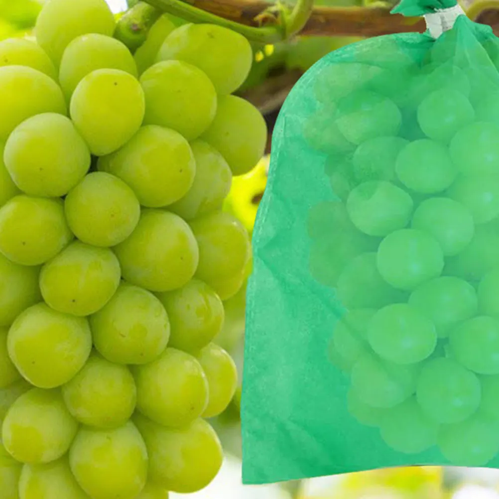 50 Pcs Grape Protection Nonwoven Fabric Cover Pest Prevention Grow Bag Fruit Nursery Spunbond Durability Plant
50 Pcs Grape Protection Nonwoven Fabric Cover Pest Prevention Grow Bag Fruit Nursery Spunbond Durability Plant