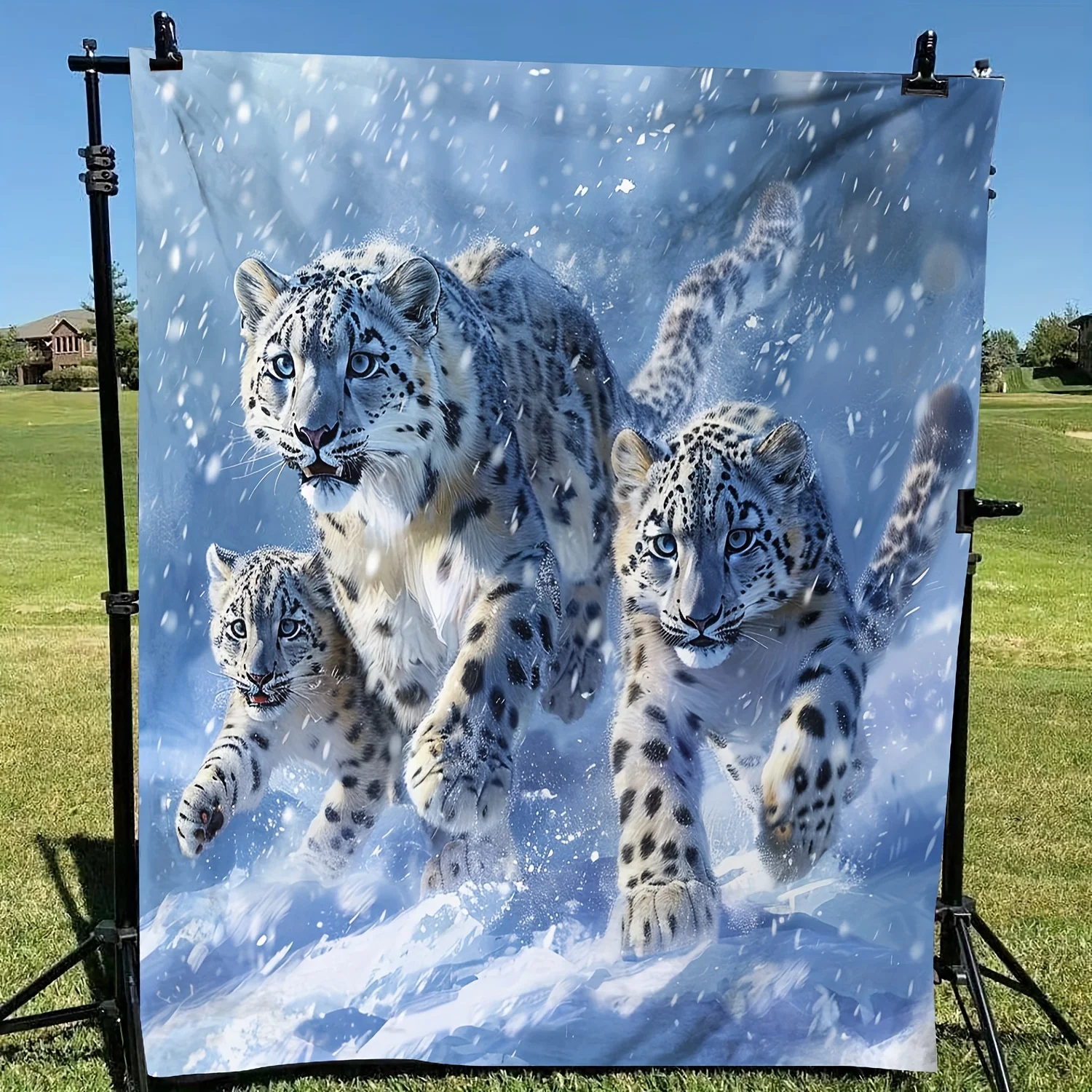 Snow Leopard Playing Pattern Gift to Friends Soft Blanket Flannel Blanket One Piece
Snow Leopard Playing Pattern Gift to Friends Soft Blanket Flannel Blanket One Piece